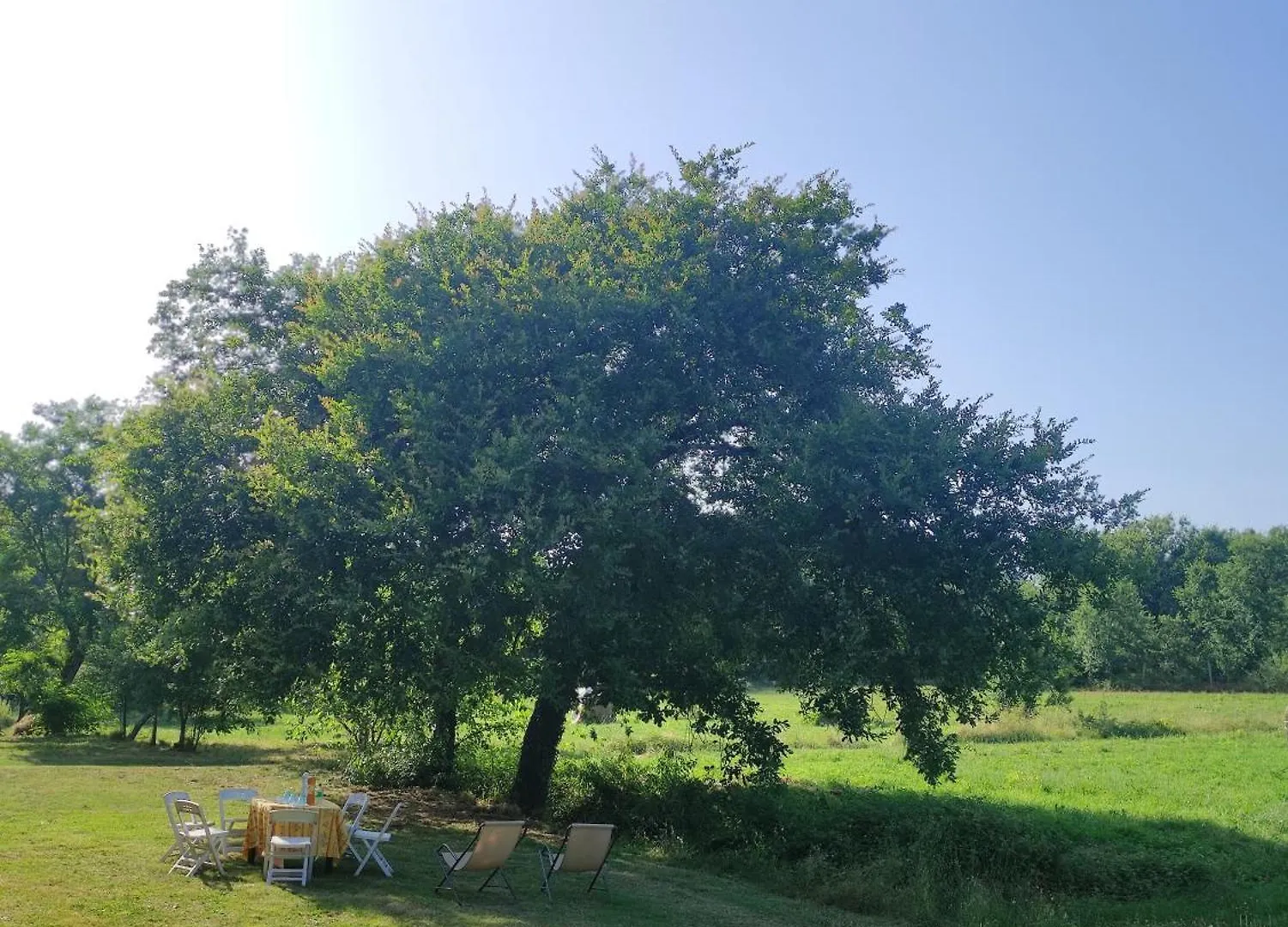 Appartamento Il Picchio Verde Altopascio